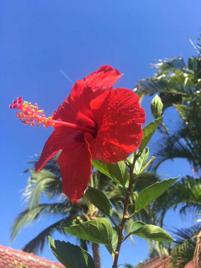 Samui Garden Resort 방 락 외부 사진