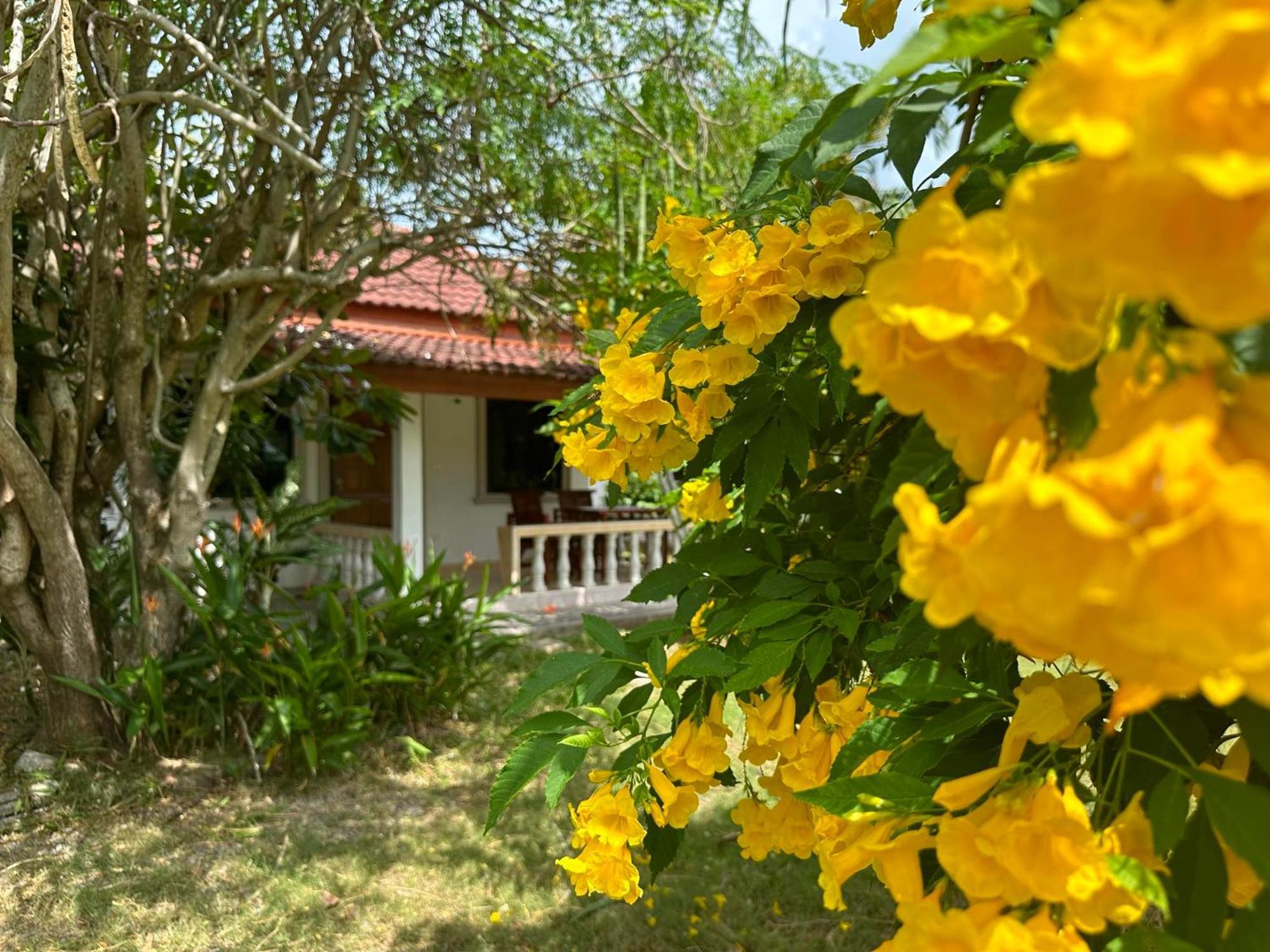 Samui Garden Resort 방 락 외부 사진