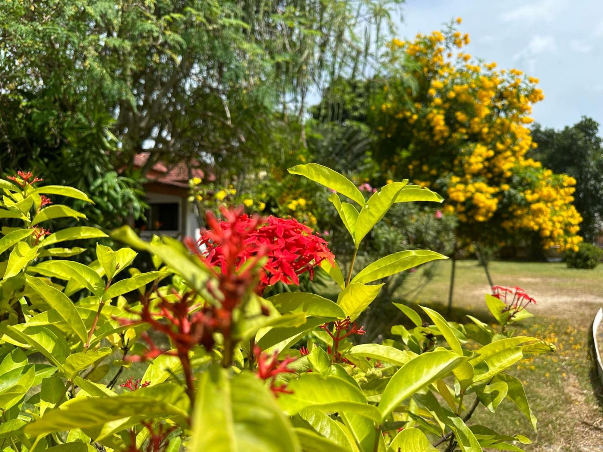 Samui Garden Resort 방 락 외부 사진