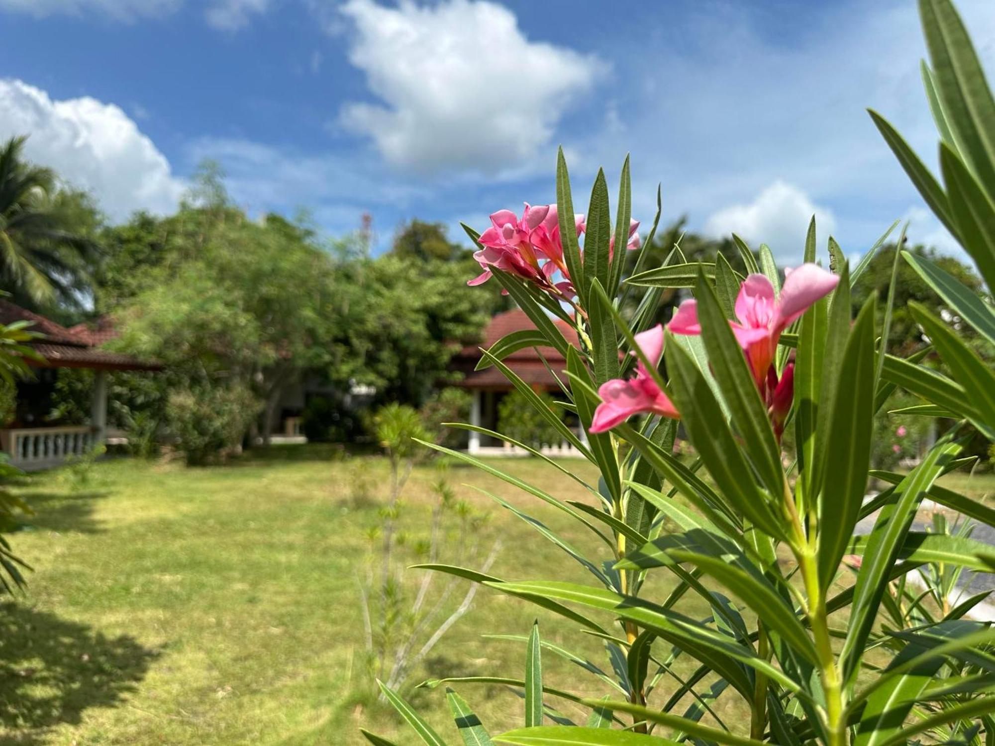 Samui Garden Resort 방 락 외부 사진