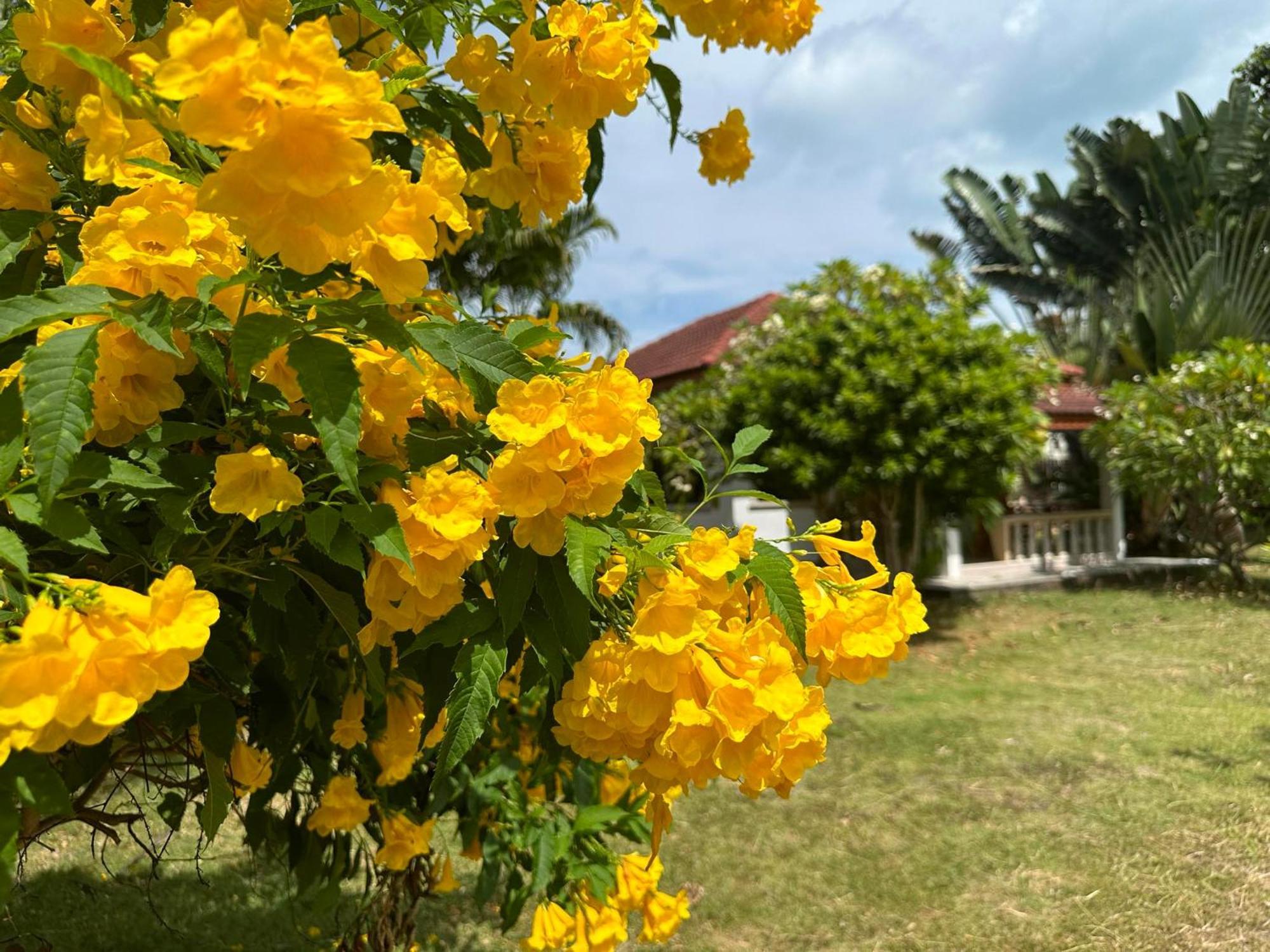 Samui Garden Resort 방 락 외부 사진