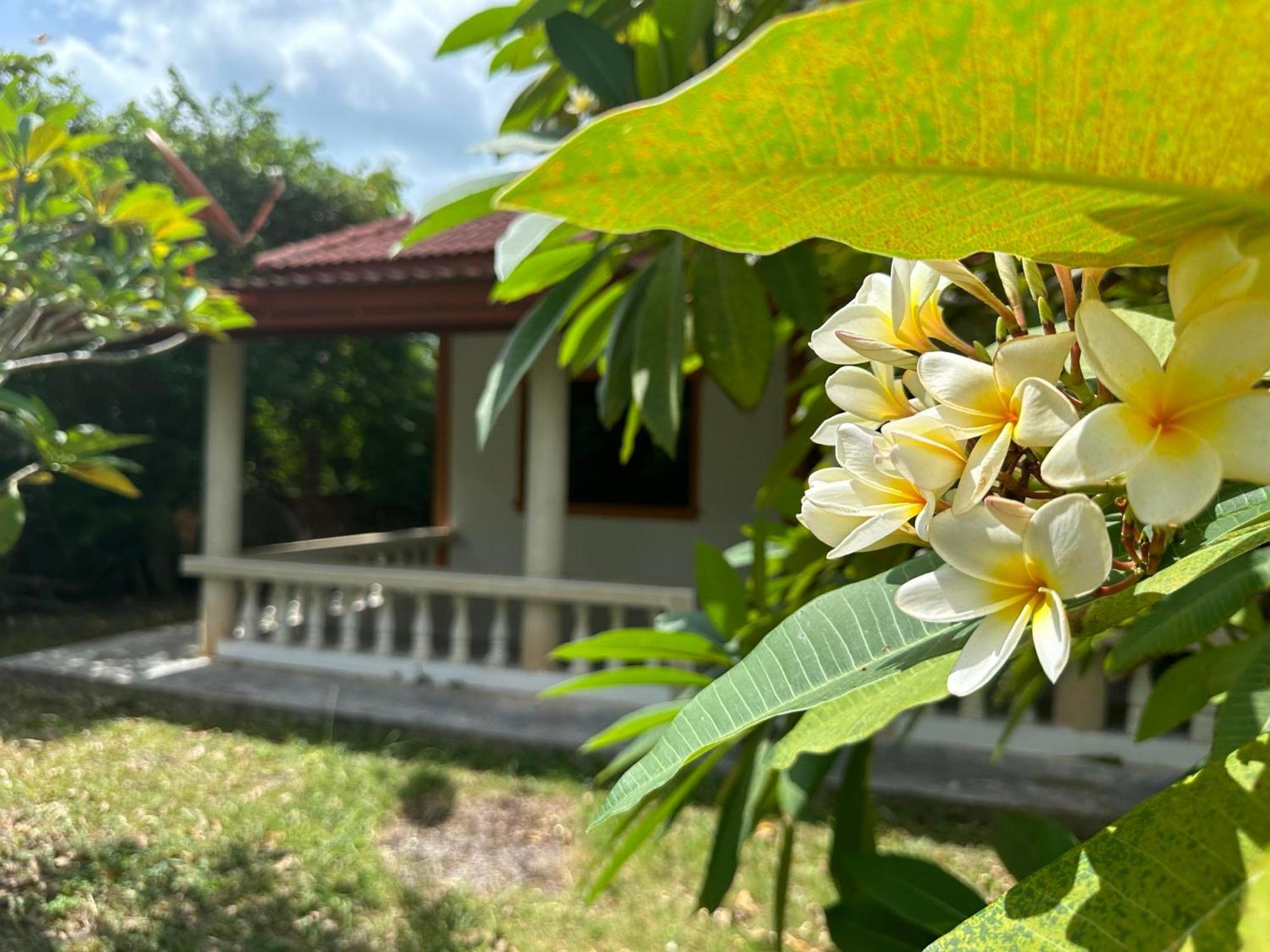 Samui Garden Resort 방 락 외부 사진