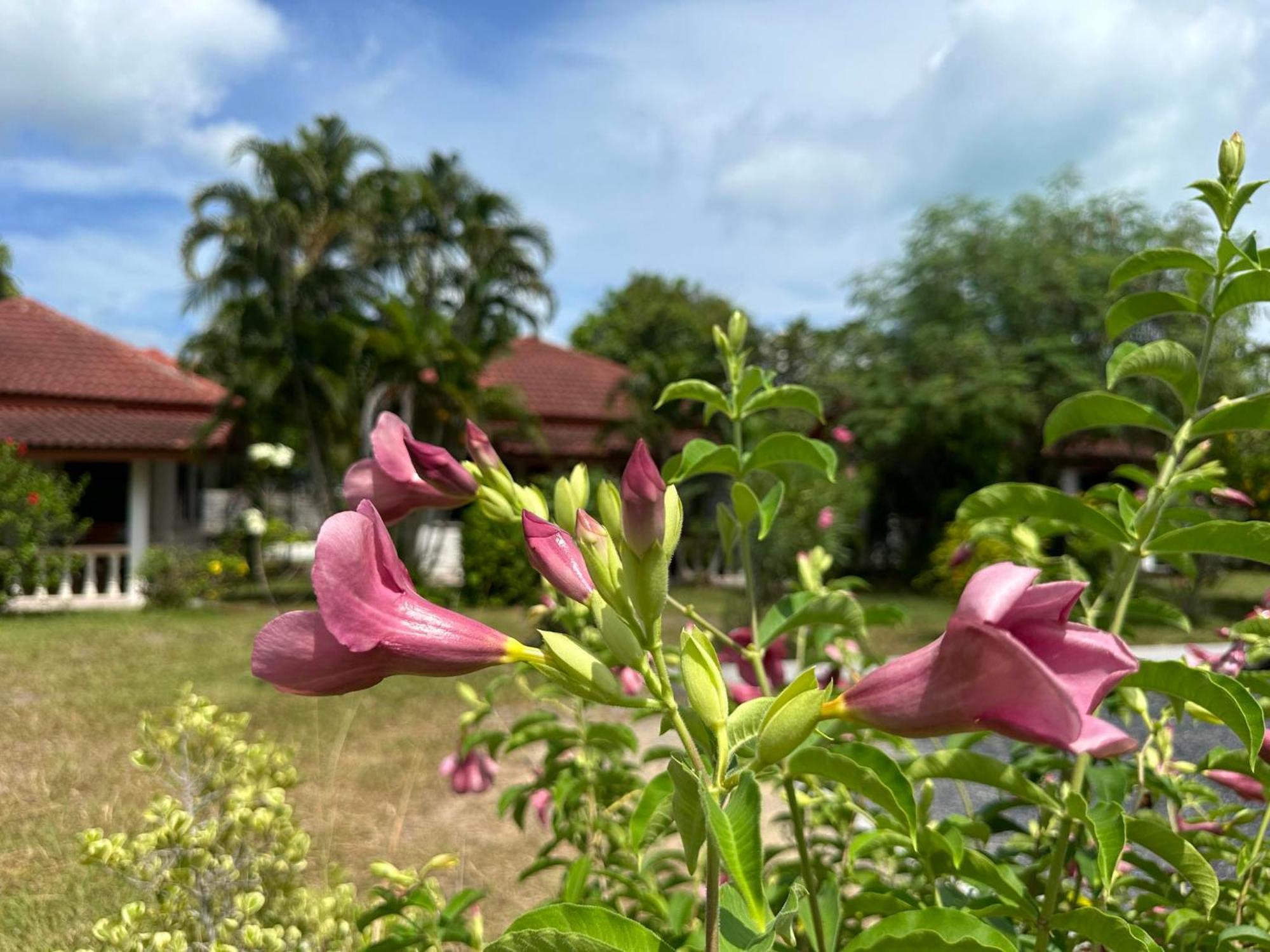 Samui Garden Resort 방 락 외부 사진